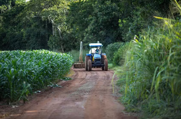 Governo bloqueia metade do orçamento do seguro rural em 2026