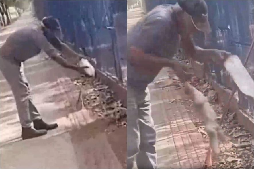 Trabalhador tenta dar água a lagarto e perde parte de dedo em MT