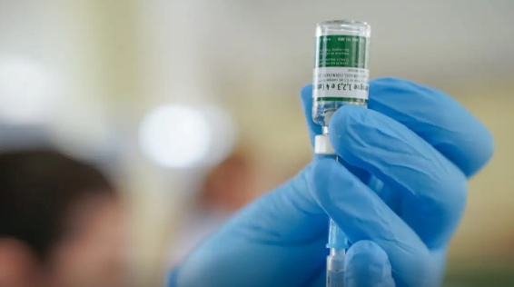 Dengue: Anvisa cria grupo para avaliar segurança da vacina do Butantan