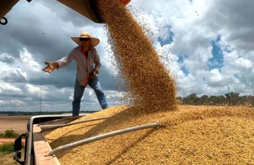 El Niño e custos maiores colocam safra de soja sob alerta em MT