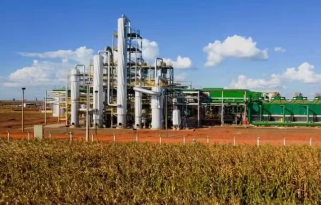 Mato Grosso adia meta para encerrar uso de biomassa nativa em indústrias