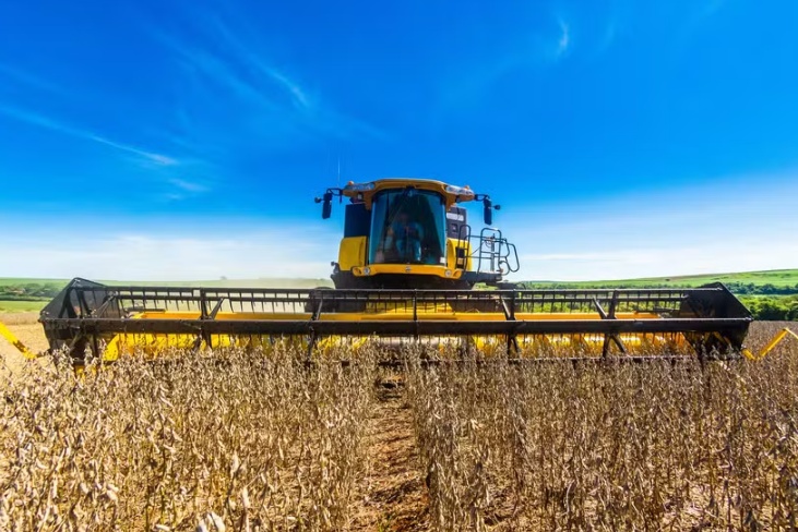 Valor da produção agropecuária no Brasil cai 4,6% em um ano