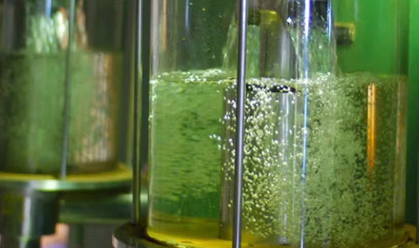 Inpasa quer captar R$ 1 bilhão para dobrar capacidade de produção de etanol em Sinop