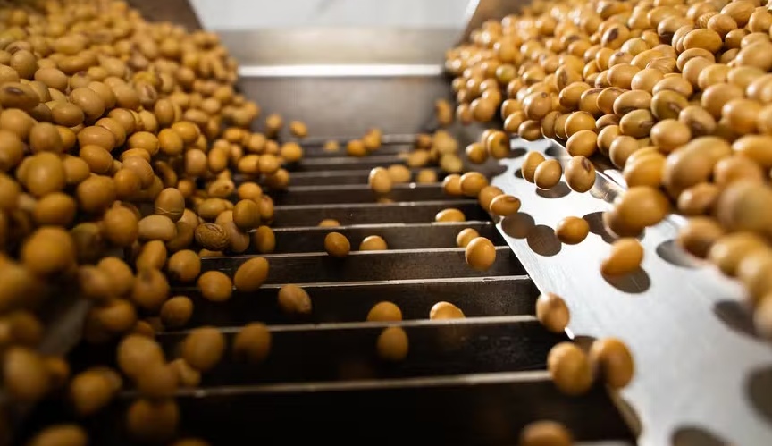 Processamento de soja em 2026 deve crescer com maior demanda no Brasil