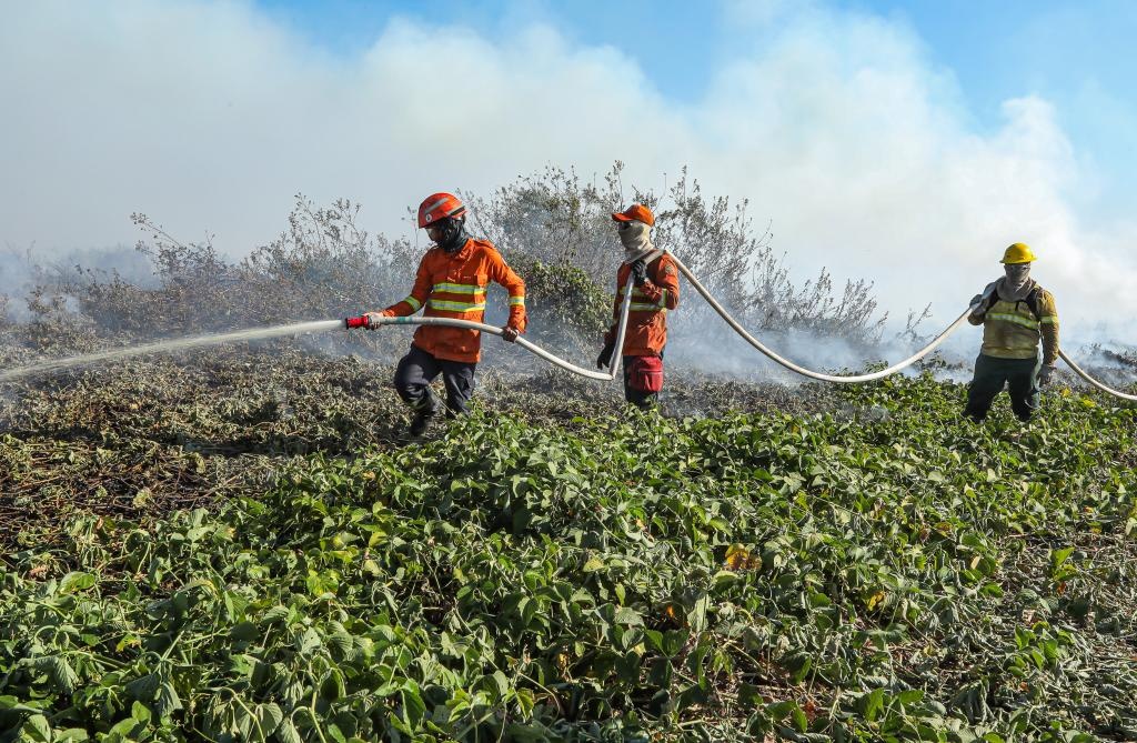 Bombeiros divulga resultado da análise de títulos de seletivo para brigadistas