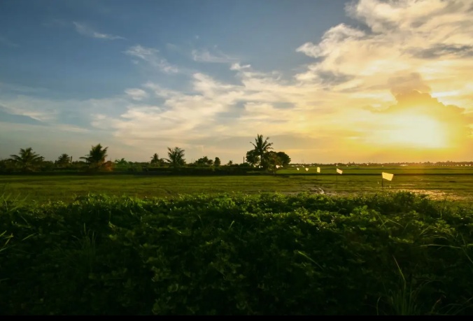 Gigantes do agro disputam compra de fazendas de R$ 1,85 bilhão em Mato Grosso