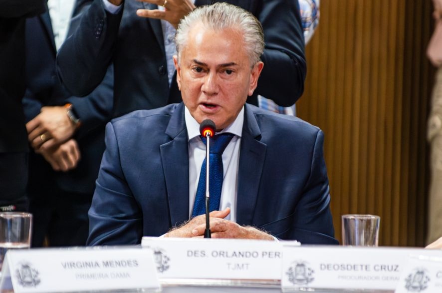 TJ-MT nega absolvição de pecuarista por explorar área desmatada