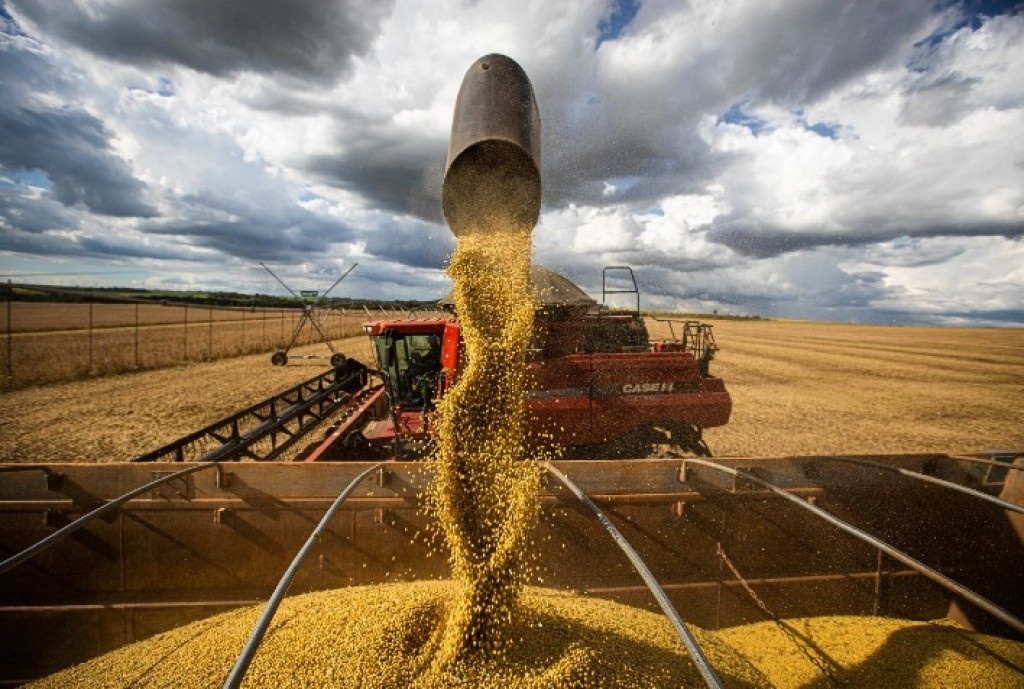 Soja brasileira caminha para safra recorde de 182 milhões de toneladas e reforça liderança global em 2026