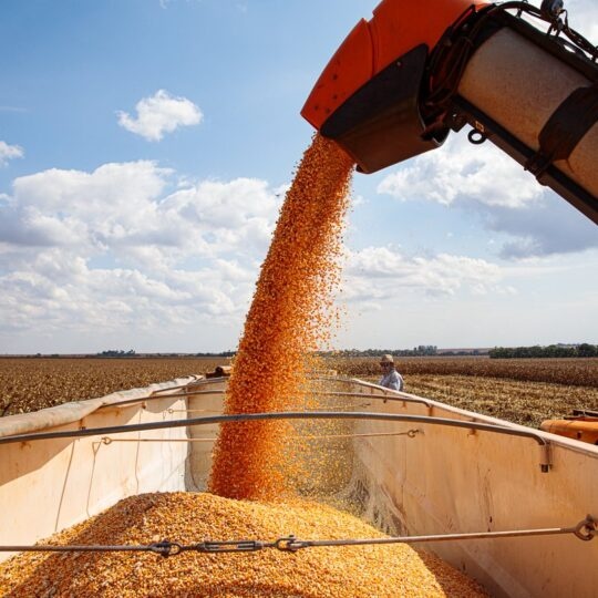 Mato Grosso está entre as maiores economias do país com expansão do PIB