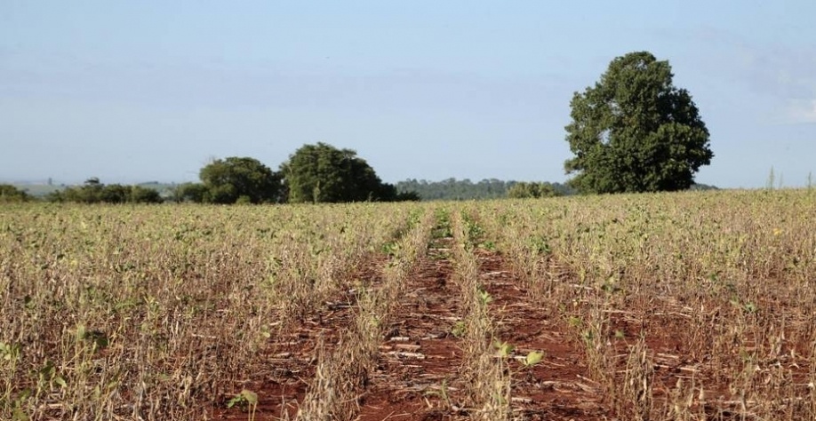 Julho terá temperaturas elevadas e chuvas desiguais, prevê o Inmet