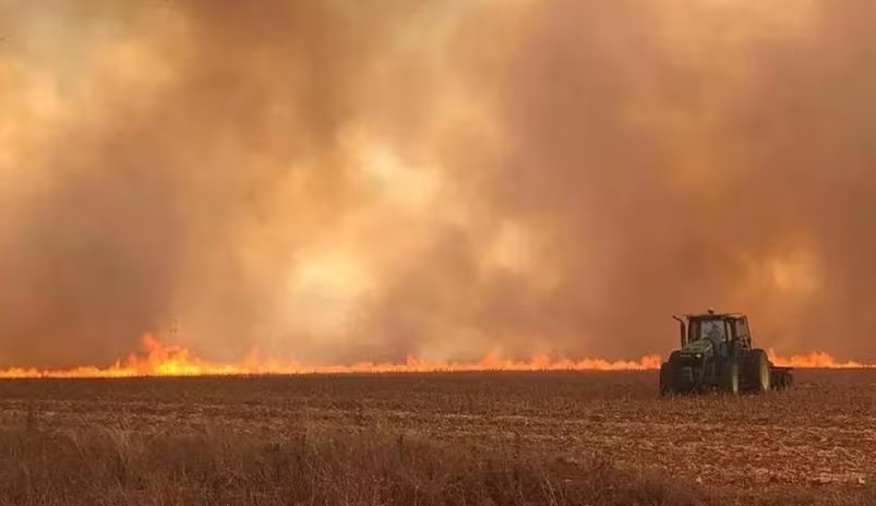 Governo já debate possíveis impactos de El Niño forte no agro