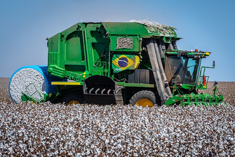 Colheita do algodão começa em Mato Grosso com expectativa de alta produtividade