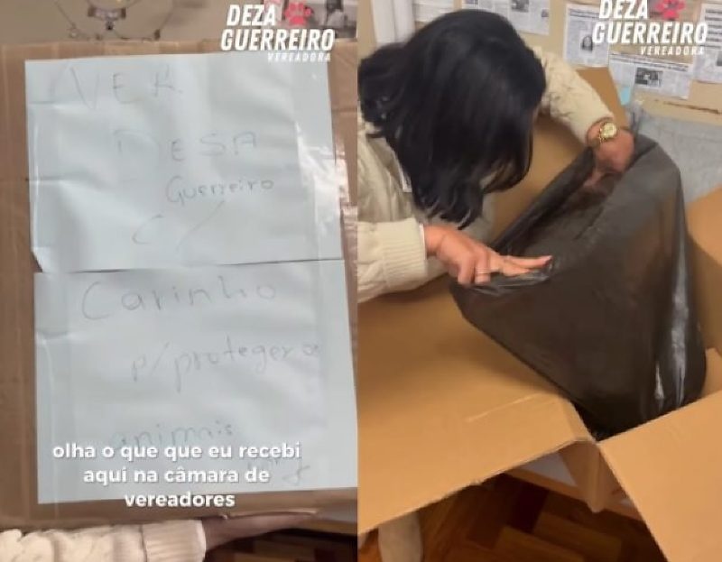 Vereadora da causa animal recebe caixa com cachorro morto em gabinete