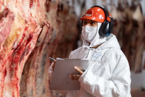 Corrida para atender chineses antes da taxação leva MT ao maior abate bovino da história