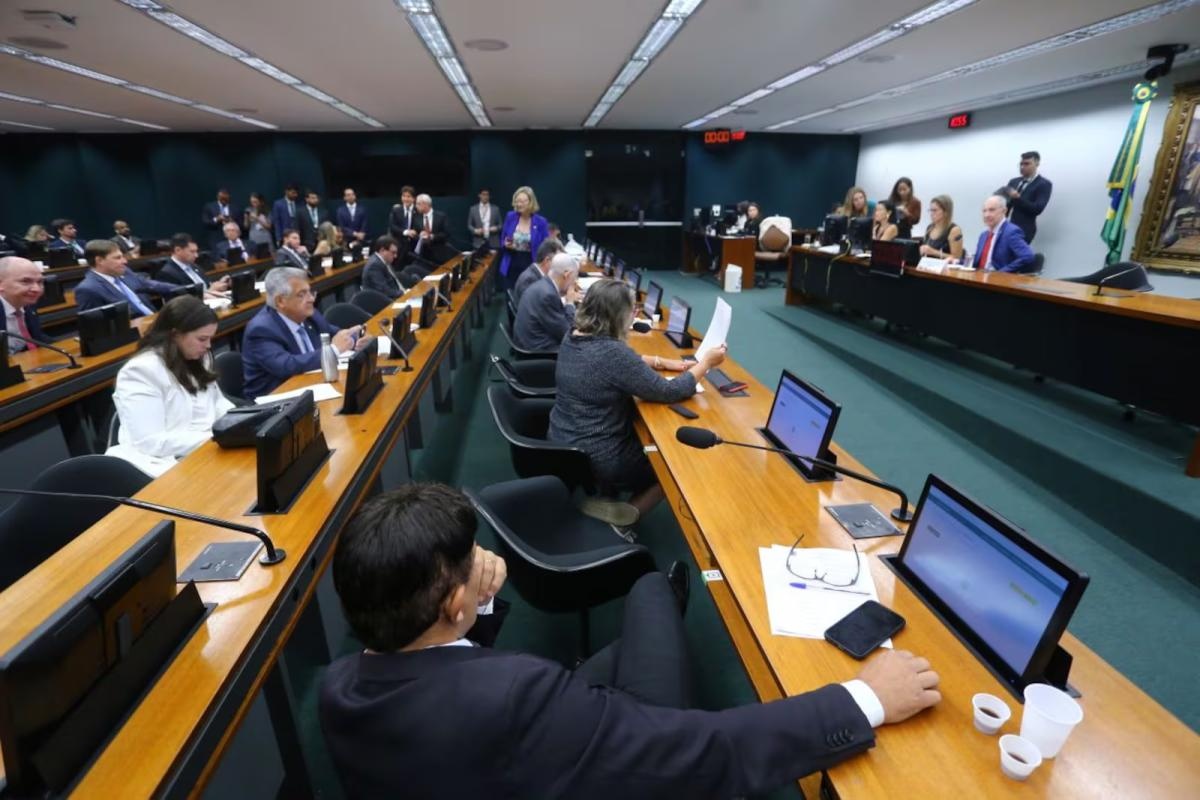 Câmara aprova criação do Sistema Nacional de Enfrentamento da Violência contra Meninas e Mulheres