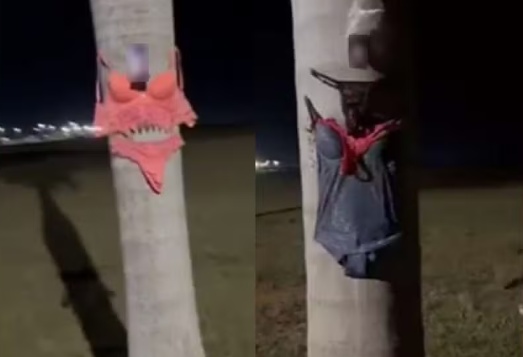 Lingeries e fotos íntimas de mulher são encontradas expostas em via pública em Lucas do Rio Verde
