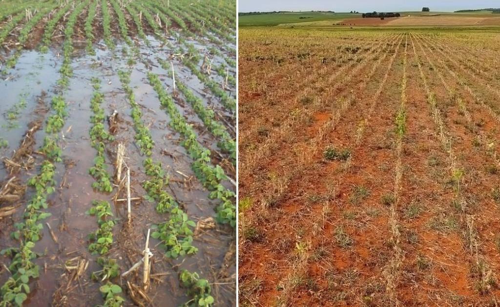 El Niño mais forte pode impactar soja, milho, café e laranja no Brasil