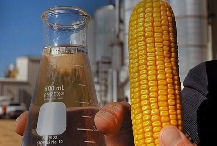 Aumento da mistura na gasolina deve demandar 300 milhões de litros de etanol de milho