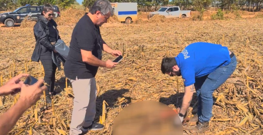 Polícia investiga se ossada encontrada em milharal é de jovem desaparecido há cerca de dois meses em Sinop