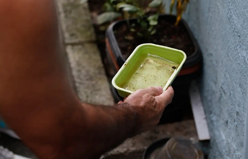 El Niño pode aumentar casos de chikungunya e dengue no Brasil