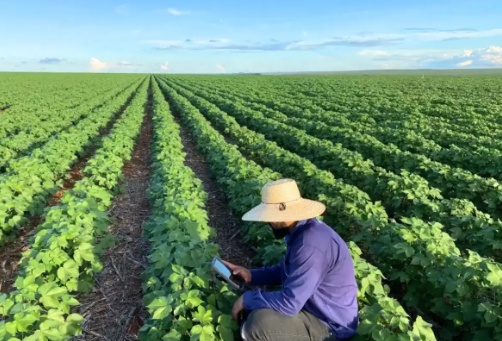 Agro cria quase 23 mil vagas em um mês e assume 2º lugar na geração de empregos