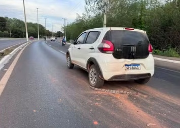 Jiboia provoca acidente e morre atropelada ao tentar atravessar via em MT