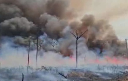 Quatro suspeitos de provocar incêndio de 120 km² são presos e soltos após fiança