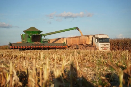 Com 99% da safra colhida, MT se aproxima de recorde histórico no milho